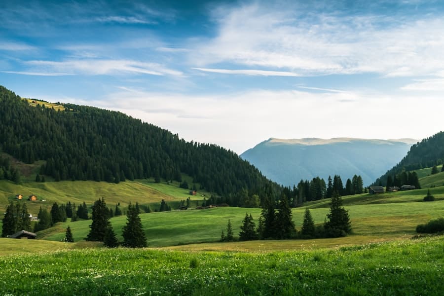 Scenic mountain valley with trees and clear sky.